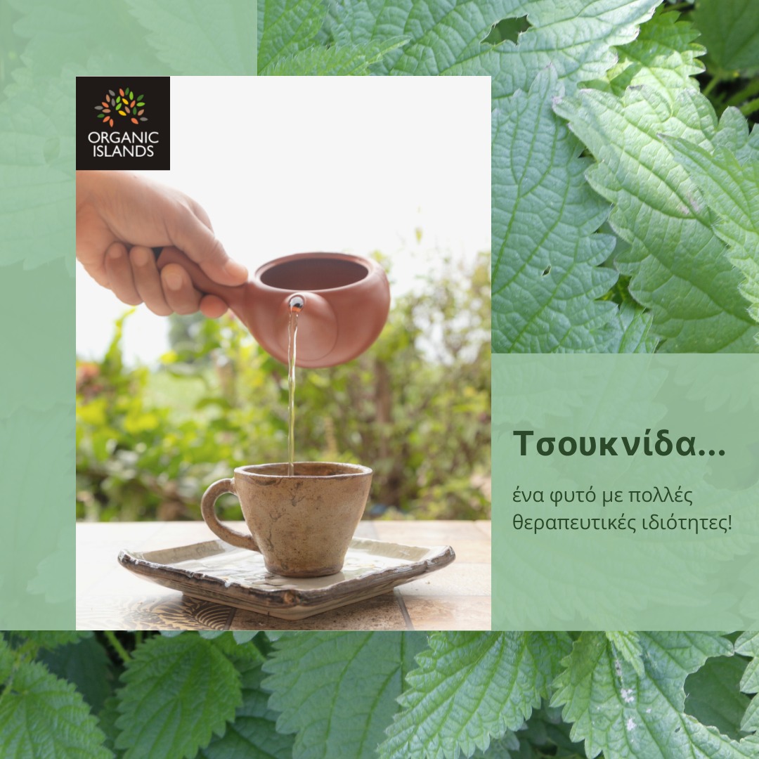 You are currently viewing Nettle tea: a “panacea” herb with a great history!