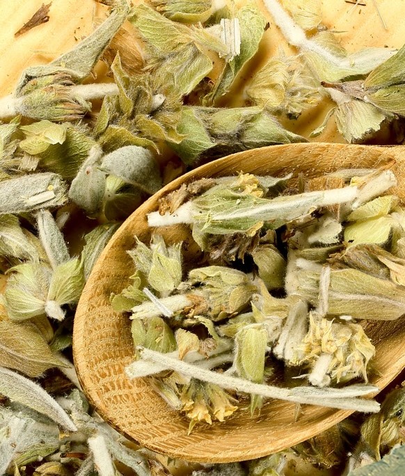 You are currently viewing Greek Mountain Tea